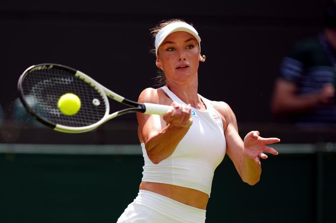 科怀更像是 科怀更像是