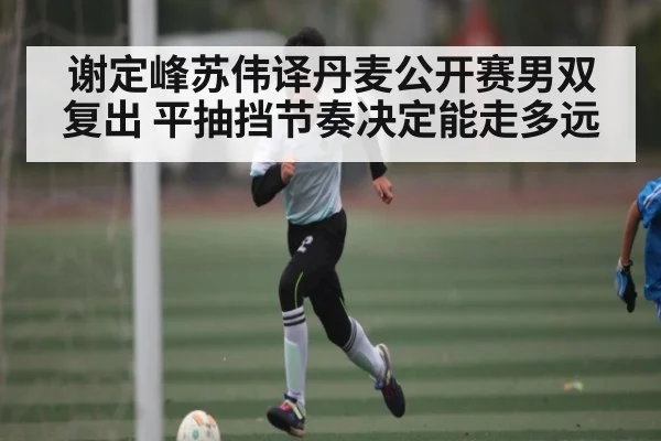 谢定峰苏伟译丹麦公开赛男双复出 平抽挡节奏决定能走多远